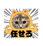 長脚マンチカンのスタンプ（個別スタンプ：29）
