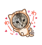 長脚マンチカンのスタンプ（個別スタンプ：33）