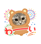 長脚マンチカンのスタンプ（個別スタンプ：36）