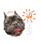 我が家のlocoちゃん、時々いもうと★（個別スタンプ：3）