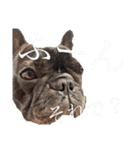 我が家のlocoちゃん、時々いもうと★（個別スタンプ：18）
