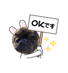 我が家のlocoちゃん、時々いもうと★（個別スタンプ：26）