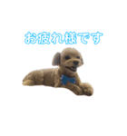 コミユニケーション2（個別スタンプ：2）