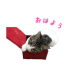 次元と五右衛門（個別スタンプ：1）