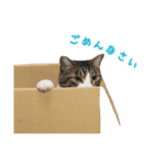 次元と五右衛門（個別スタンプ：8）