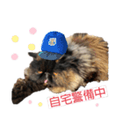★ここあとクロエ②（個別スタンプ：1）