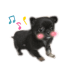 ★ここあとクロエ②（個別スタンプ：14）