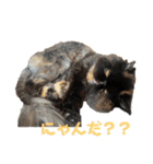 ★ここあとクロエ②（個別スタンプ：15）