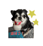 ★ここあとクロエ②（個別スタンプ：23）