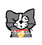ラッキーねこの日々（個別スタンプ：30）