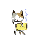 ねこのひみつ（個別スタンプ：11）