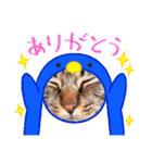 キジトラかぁか（個別スタンプ：9）