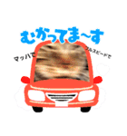 キジトラかぁか（個別スタンプ：14）
