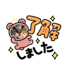 キジトラかぁか（個別スタンプ：22）
