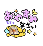 キジトラかぁか（個別スタンプ：24）