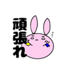 しろめラビット（個別スタンプ：4）