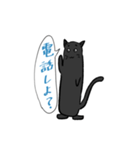 ゆるねこたん！（個別スタンプ：1）