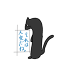 ゆるねこたん！（個別スタンプ：6）