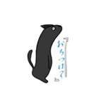ゆるねこたん！（個別スタンプ：7）