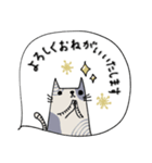 mottoの"ねこなんです"（個別スタンプ：1）