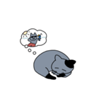 灰色ねこ謝罪スタイル（個別スタンプ：2）