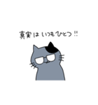 灰色ねこ謝罪スタイル（個別スタンプ：20）