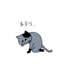 灰色ねこ謝罪スタイル（個別スタンプ：30）
