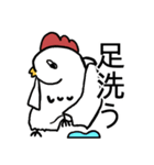 普段使いのニワトリスタンプ（個別スタンプ：36）