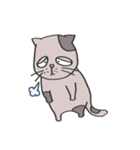 にやけねこ（個別スタンプ：6）