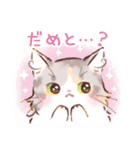 インフラストの猫社員コナちゃん（個別スタンプ：1）