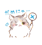 インフラストの猫社員コナちゃん（個別スタンプ：8）
