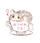 インフラストの猫社員コナちゃん（個別スタンプ：9）