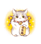 インフラストの猫社員コナちゃん（個別スタンプ：13）