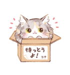 インフラストの猫社員コナちゃん（個別スタンプ：14）