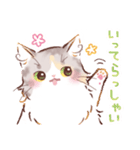 インフラストの猫社員コナちゃん（個別スタンプ：22）