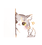 インフラストの猫社員コナちゃん（個別スタンプ：27）