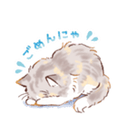 インフラストの猫社員コナちゃん（個別スタンプ：29）