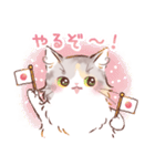 インフラストの猫社員コナちゃん（個別スタンプ：30）
