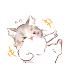 インフラストの猫社員コナちゃん（個別スタンプ：31）
