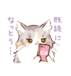 インフラストの猫社員コナちゃん（個別スタンプ：36）