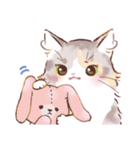 インフラストの猫社員コナちゃん（個別スタンプ：37）