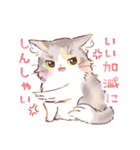 インフラストの猫社員コナちゃん（個別スタンプ：38）