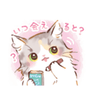 インフラストの猫社員コナちゃん（個別スタンプ：40）