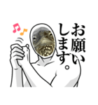 キモくないかめ（個別スタンプ：2）