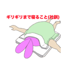 うさぎくん1（個別スタンプ：5）