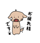いろんないっぬ！（個別スタンプ：1）