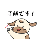 いろんないっぬ！（個別スタンプ：3）