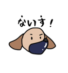 いろんないっぬ！（個別スタンプ：12）