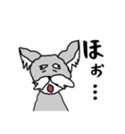 いろんないっぬ！（個別スタンプ：13）