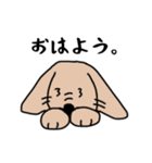 いろんないっぬ！（個別スタンプ：31）